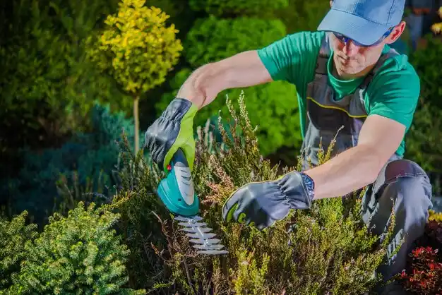 landscaping services Jennings
